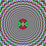 distrubiasm