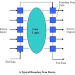 smfigure-1